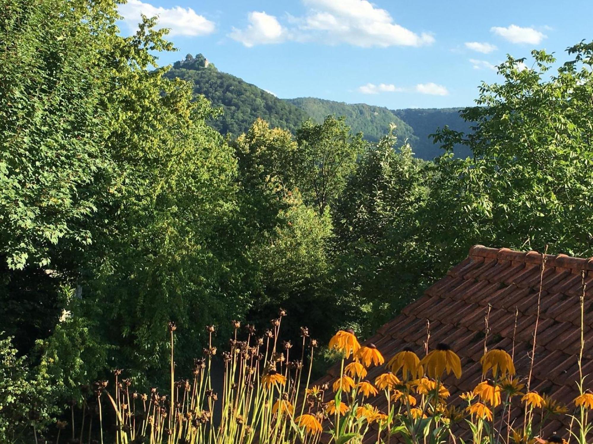 Haus Am Sonnenhuegel Apartman Bad Urach Kültér fotó