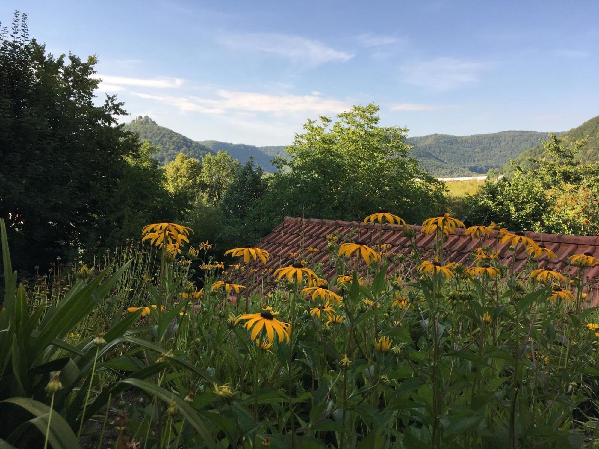 Haus Am Sonnenhuegel Apartman Bad Urach Kültér fotó