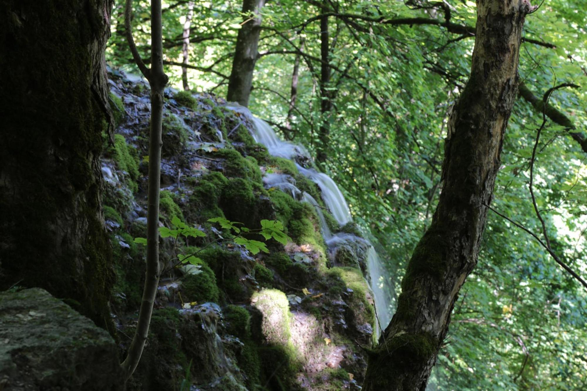 Haus Am Sonnenhuegel Apartman Bad Urach Kültér fotó